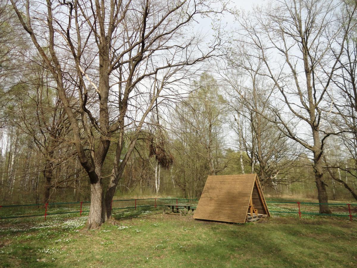 post-16372-0-28643500-1367184935_thumb.j