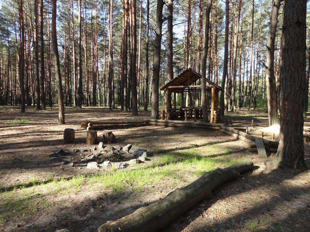 post-16372-0-29057100-1365810867_thumb.j