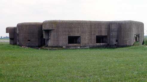 post-16372-0-29152200-1367236655_thumb.j