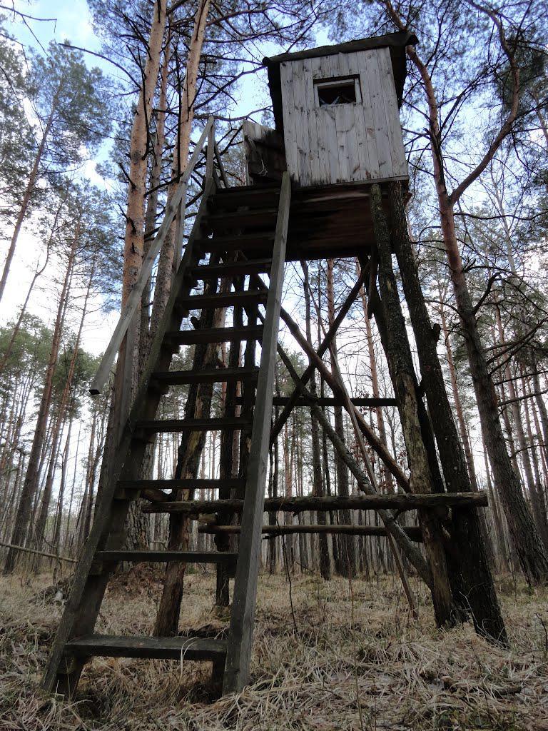 post-16372-0-29466100-1366061367_thumb.j