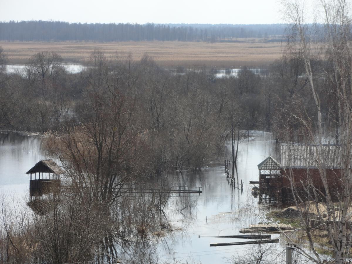 post-16372-0-29768500-1366232287_thumb.j