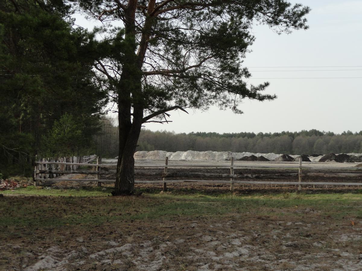 post-16372-0-29936600-1367184952_thumb.j