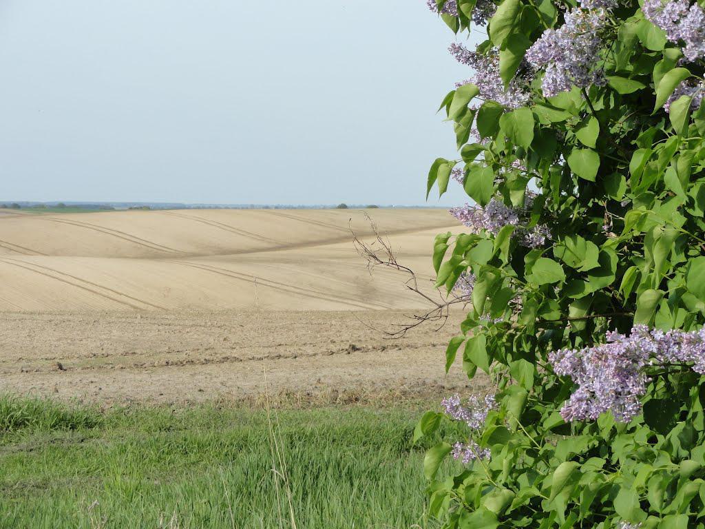 post-16372-0-30314100-1366061460_thumb.j