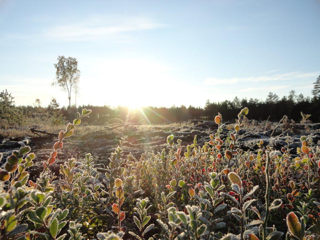 post-16372-0-31314500-1366063418_thumb.j