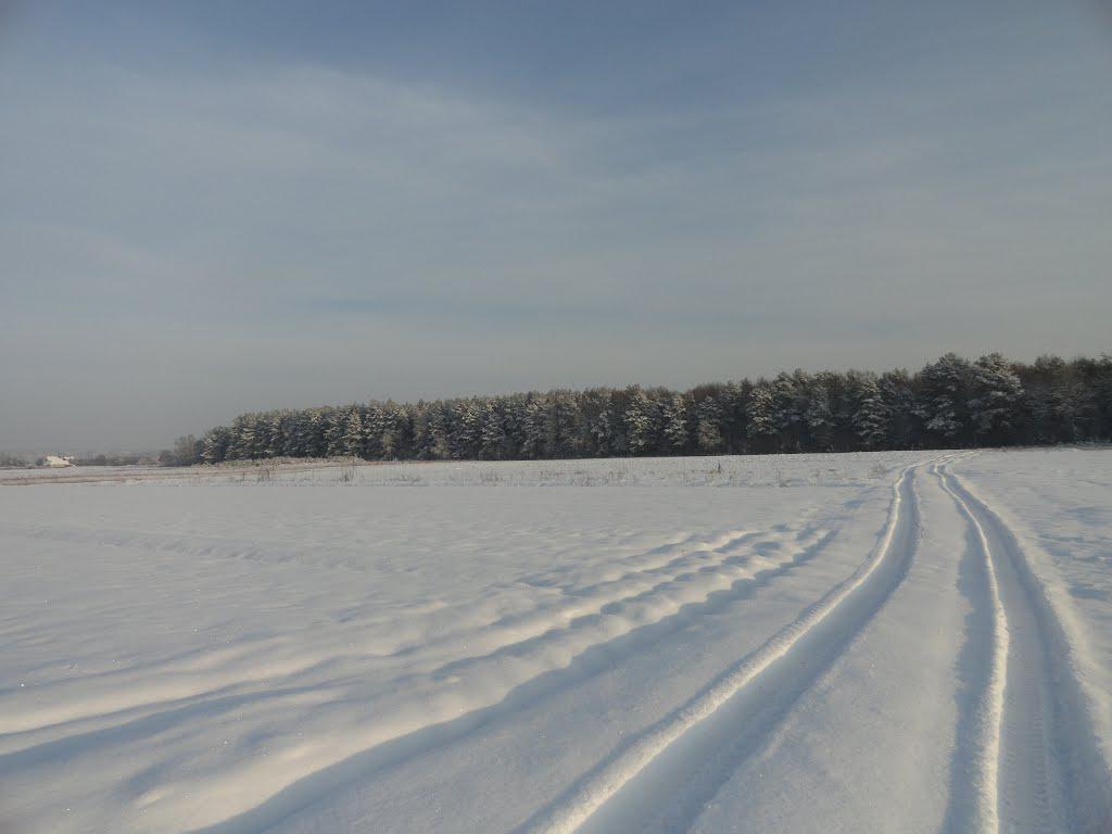 post-16372-0-33029700-1365809830_thumb.j