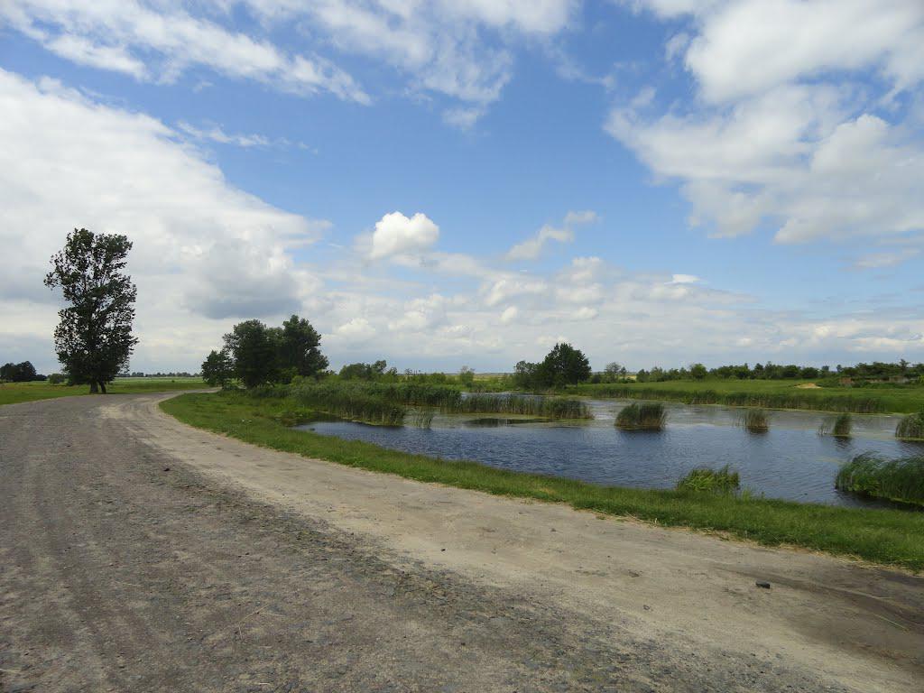 post-16372-0-36096600-1365810588_thumb.j