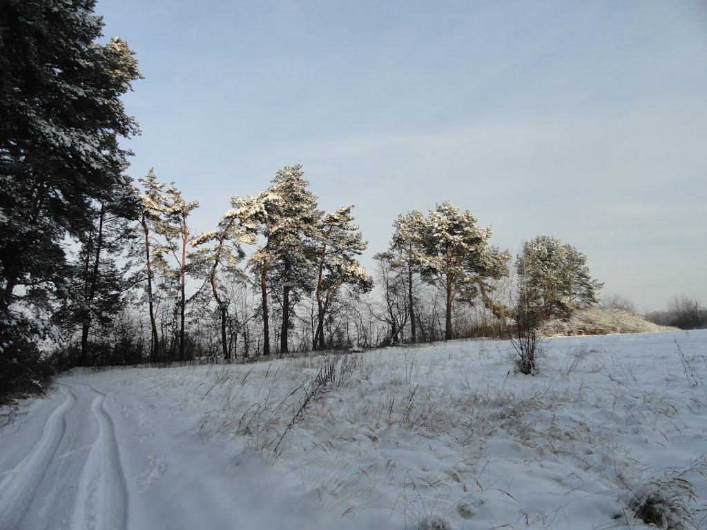 post-16372-0-39821900-1365809829_thumb.j