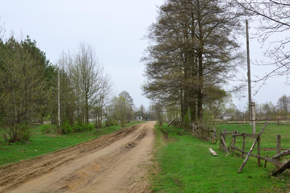 post-16372-0-40794900-1367319983_thumb.j