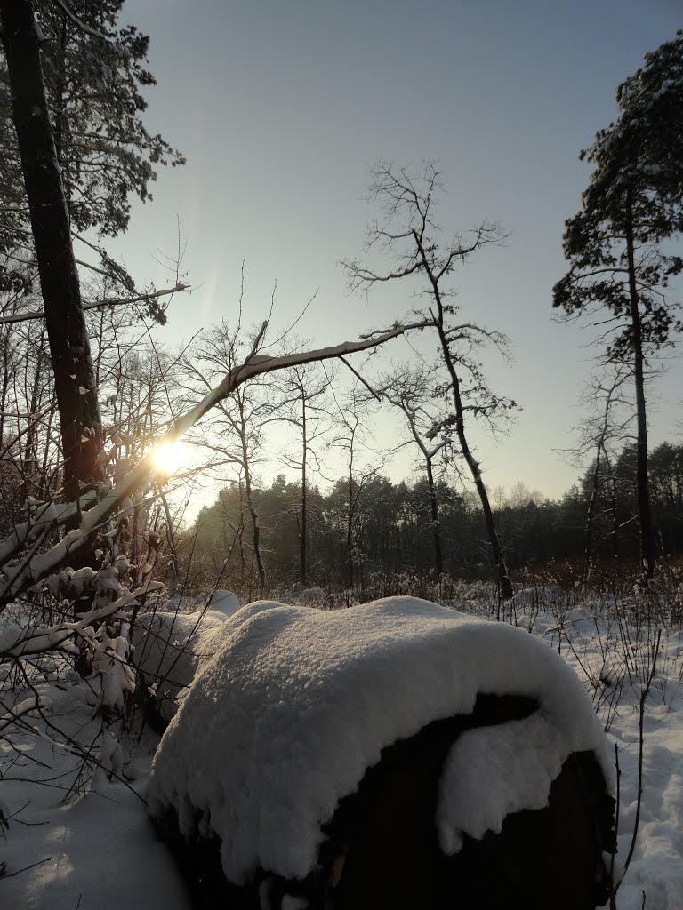 post-16372-0-41478600-1365809827_thumb.j