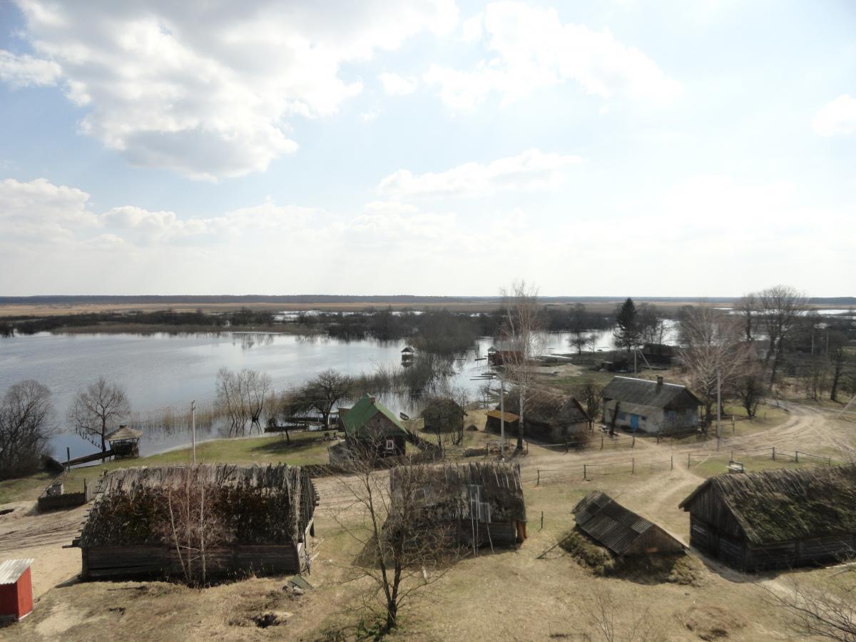 post-16372-0-42312100-1366199259_thumb.j