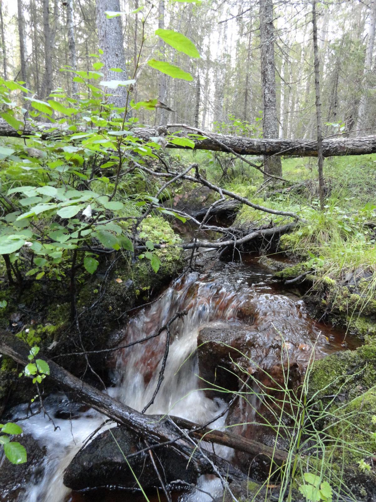 post-16372-0-42507600-1365808276_thumb.j