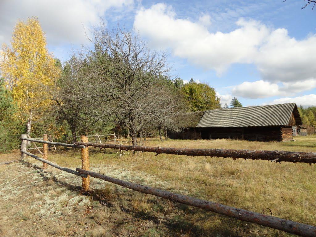 post-16372-0-43983100-1366063450_thumb.j