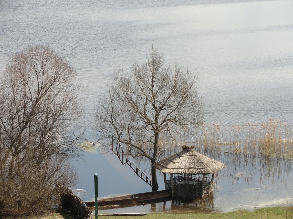 post-16372-0-45119200-1366232277_thumb.j