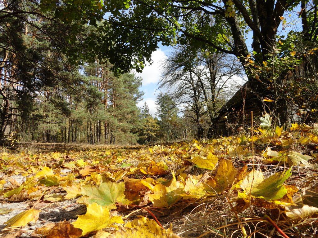 post-16372-0-45270800-1366063453_thumb.j