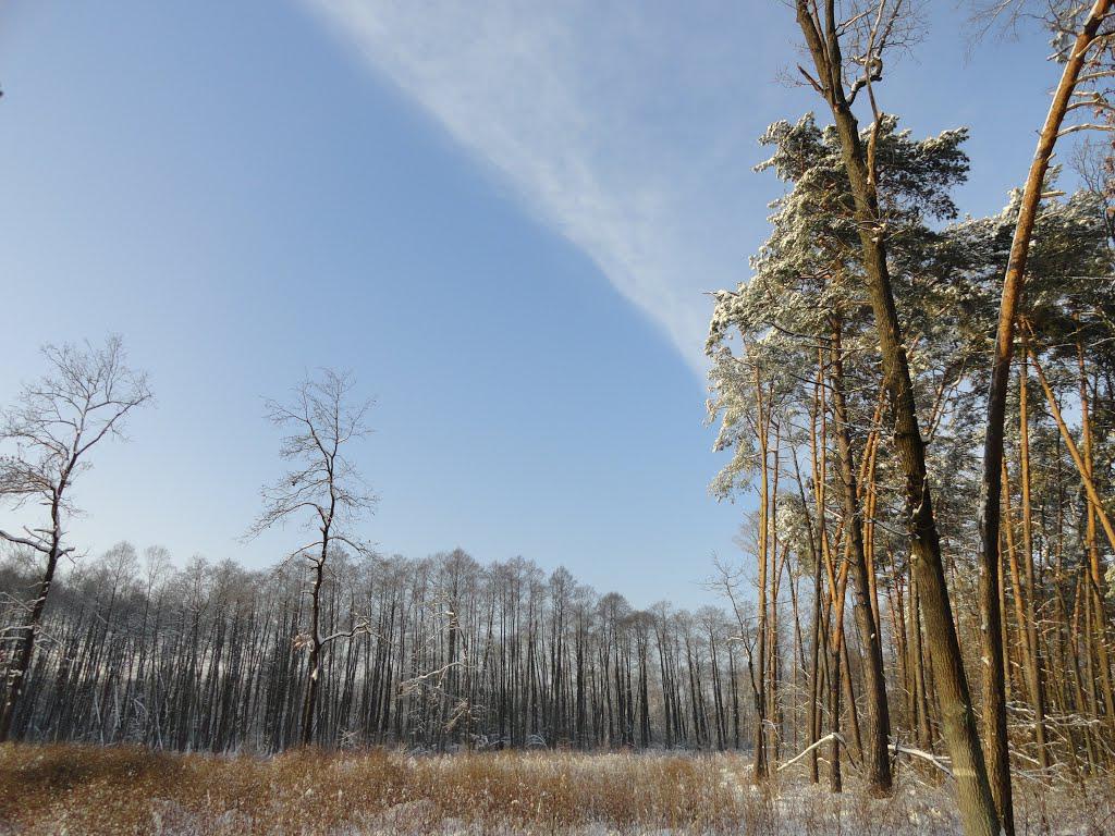 post-16372-0-46440600-1365809828_thumb.j