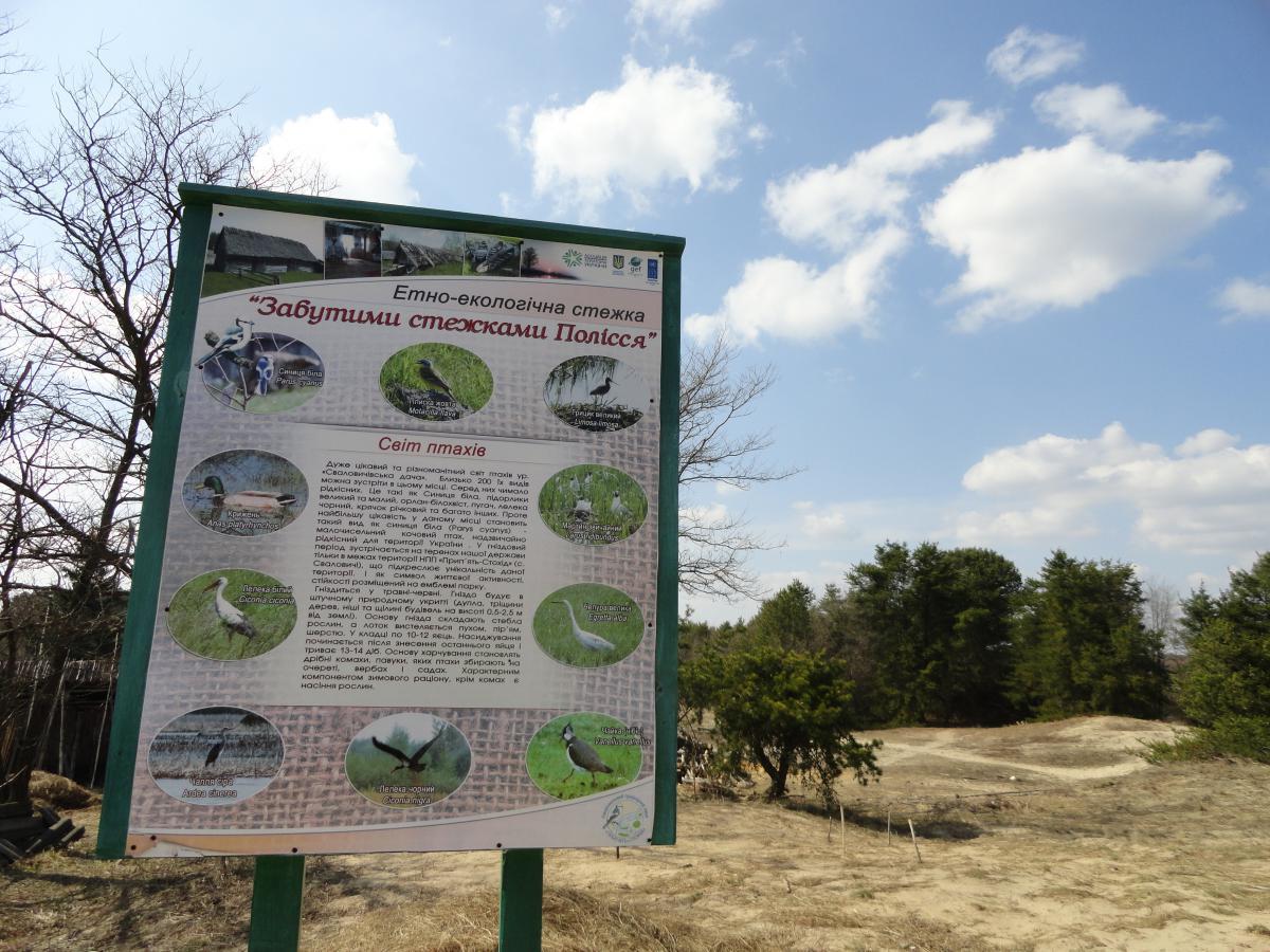 post-16372-0-48226100-1366232298_thumb.j