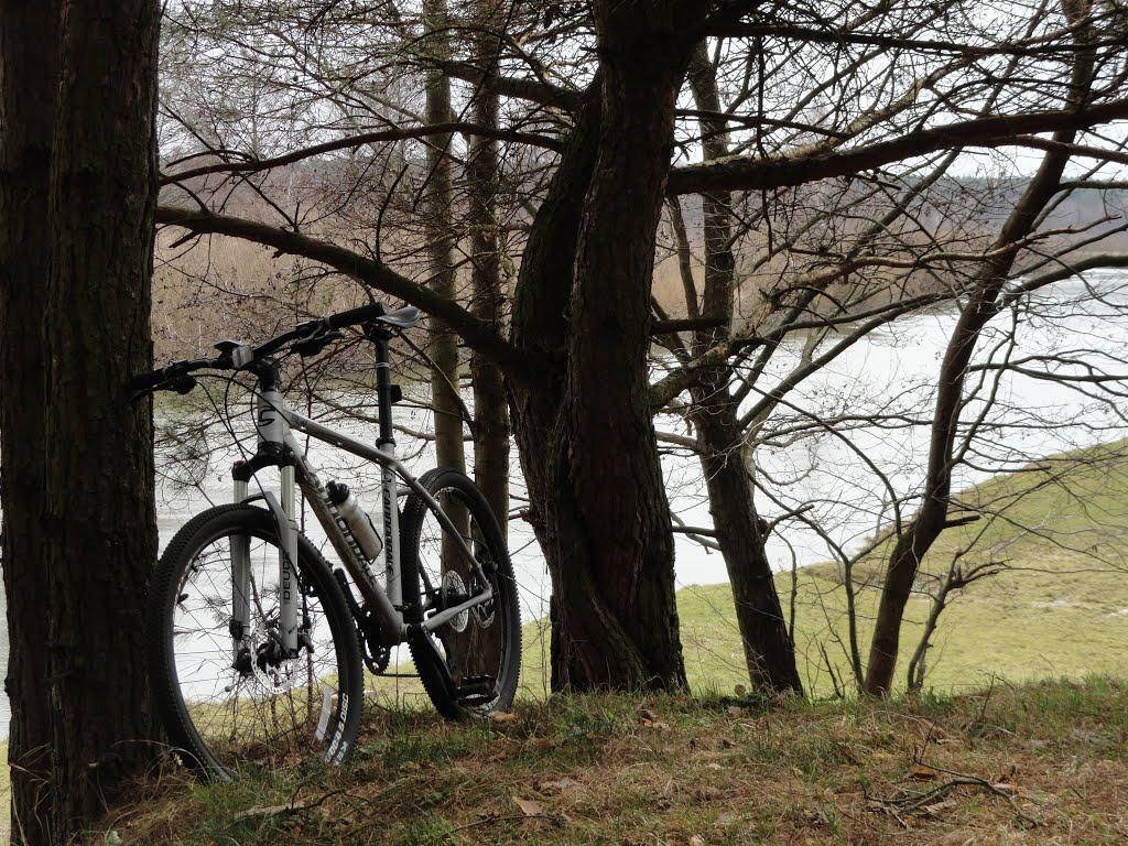 post-16372-0-50091200-1365809826_thumb.j