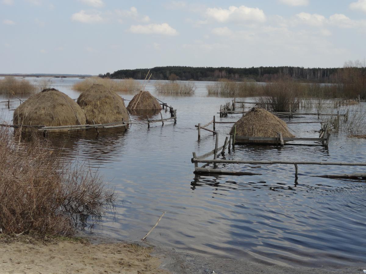 post-16372-0-53265200-1366198250_thumb.j