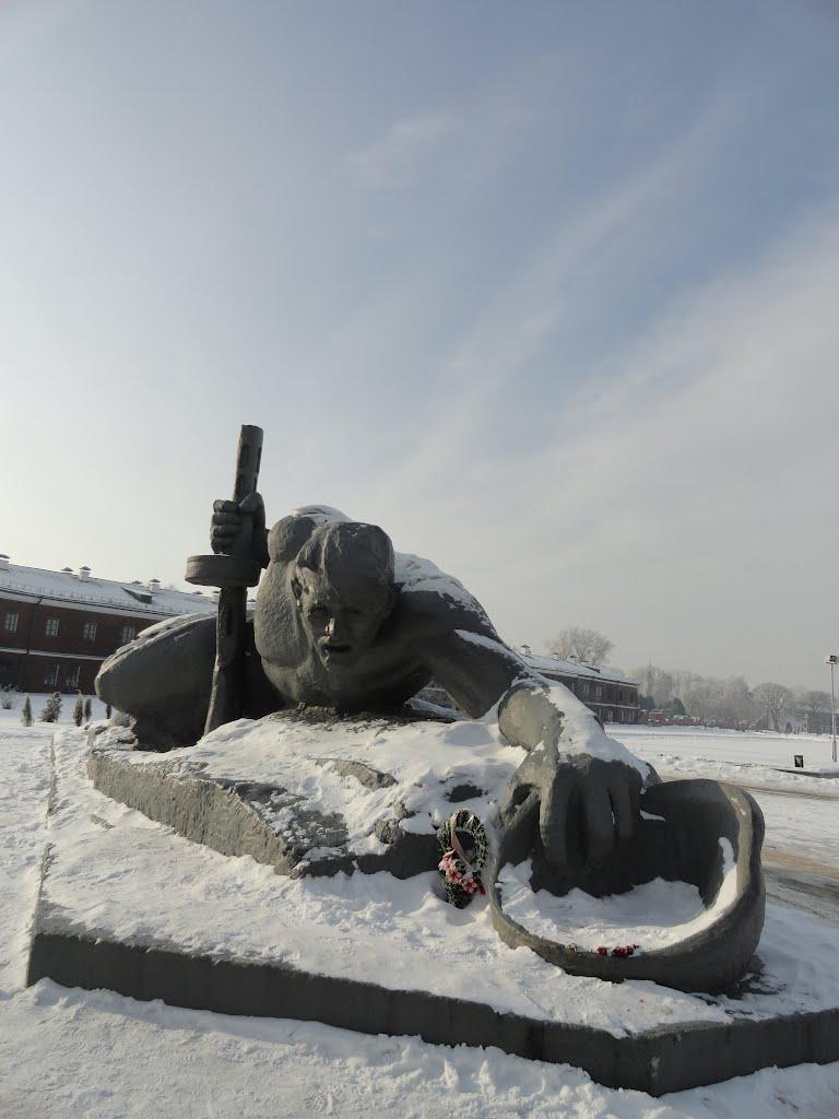 post-16372-0-53667600-1366061360_thumb.j