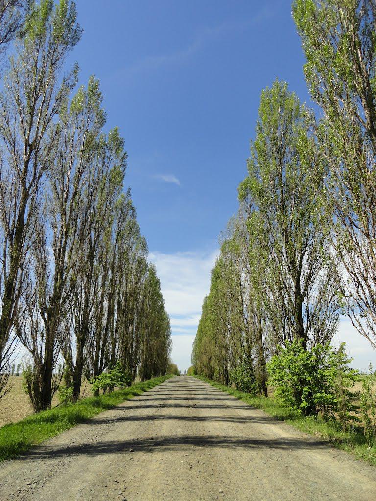 post-16372-0-53729400-1366061463_thumb.j