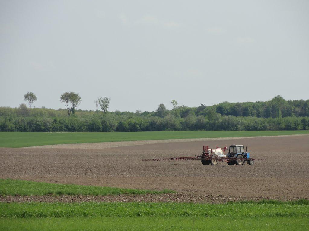 post-16372-0-54340300-1366061419_thumb.j