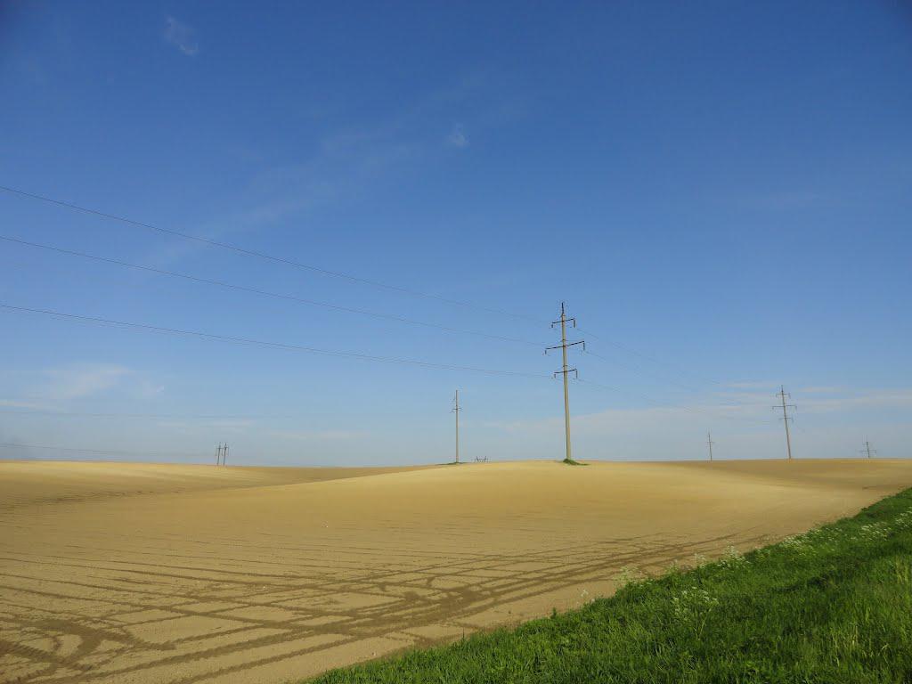 post-16372-0-54562200-1366061496_thumb.j