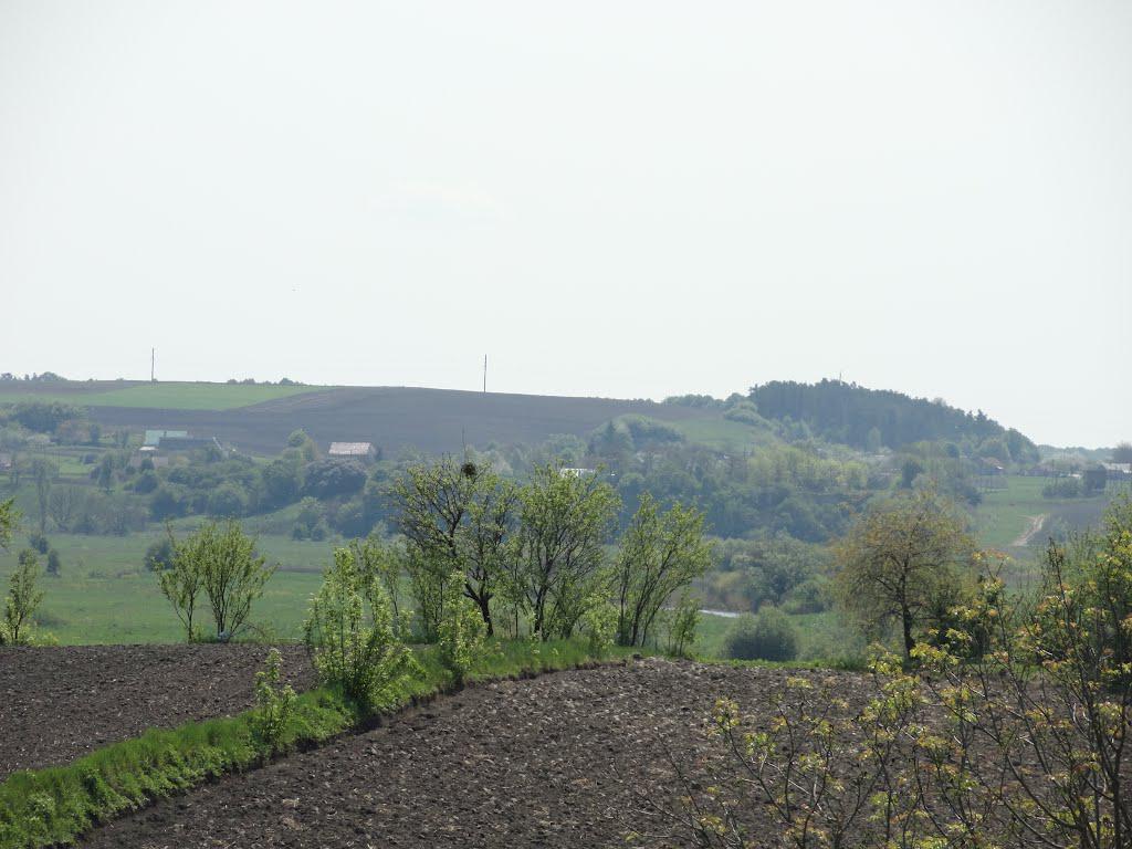 post-16372-0-55011500-1366061417_thumb.j