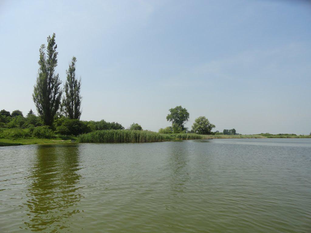 post-16372-0-55348800-1365810868_thumb.j