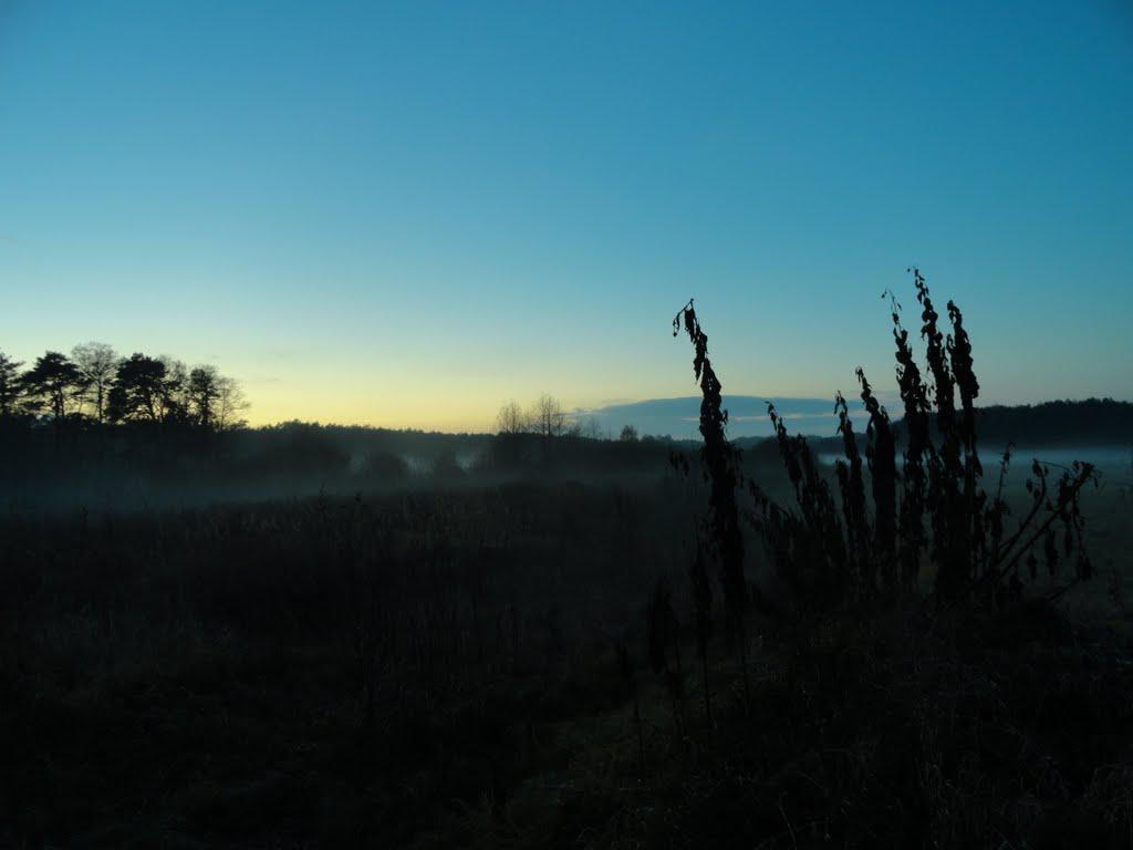 post-16372-0-55575900-1366063497_thumb.j