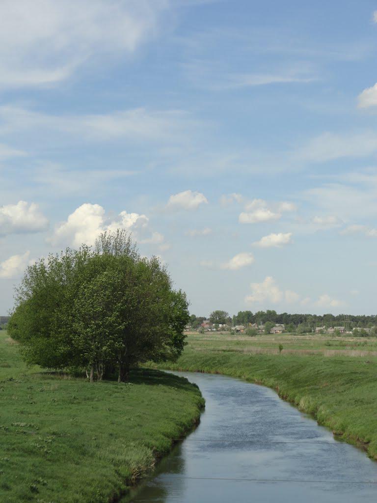 post-16372-0-57254100-1366061420_thumb.j