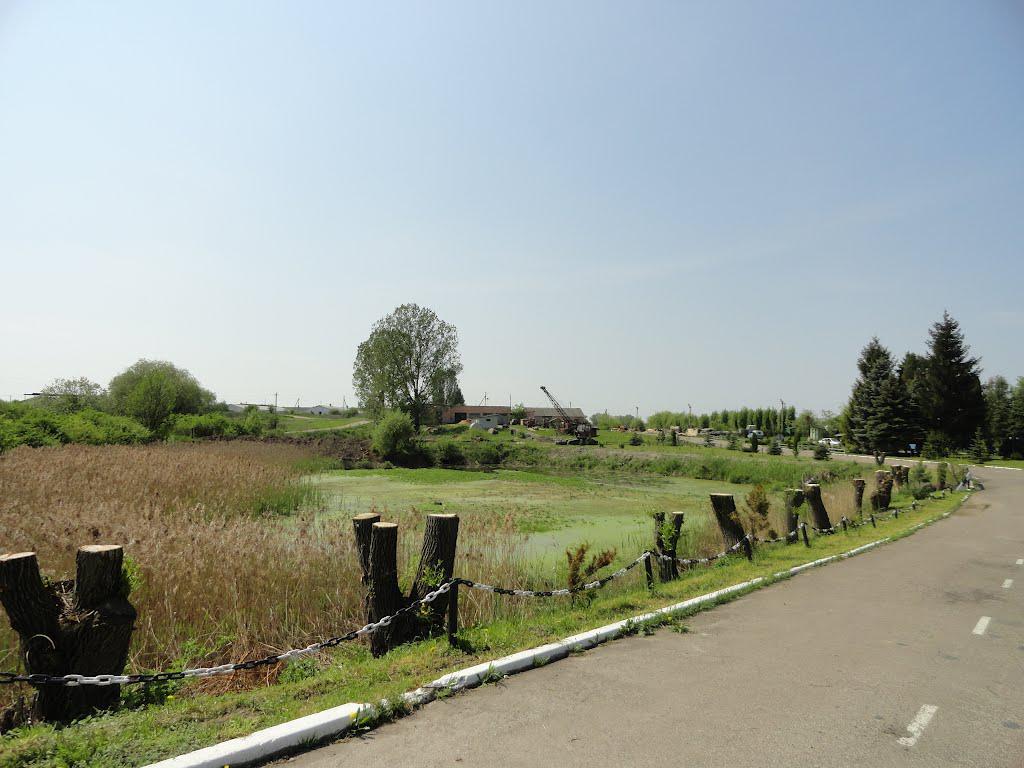 post-16372-0-58447500-1366061418_thumb.j