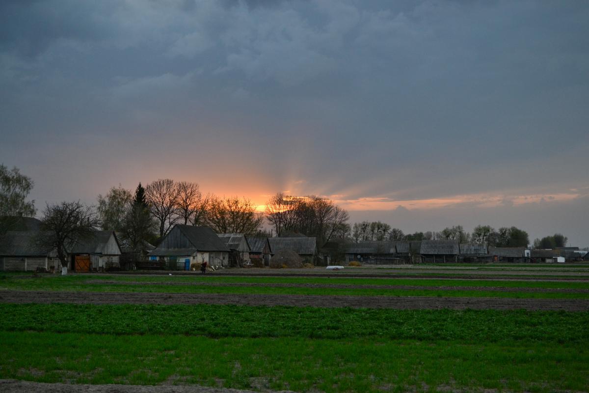 post-16372-0-59866600-1367320275_thumb.j