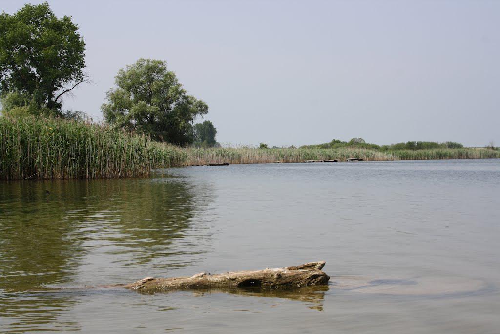 post-16372-0-60419500-1365810869_thumb.j