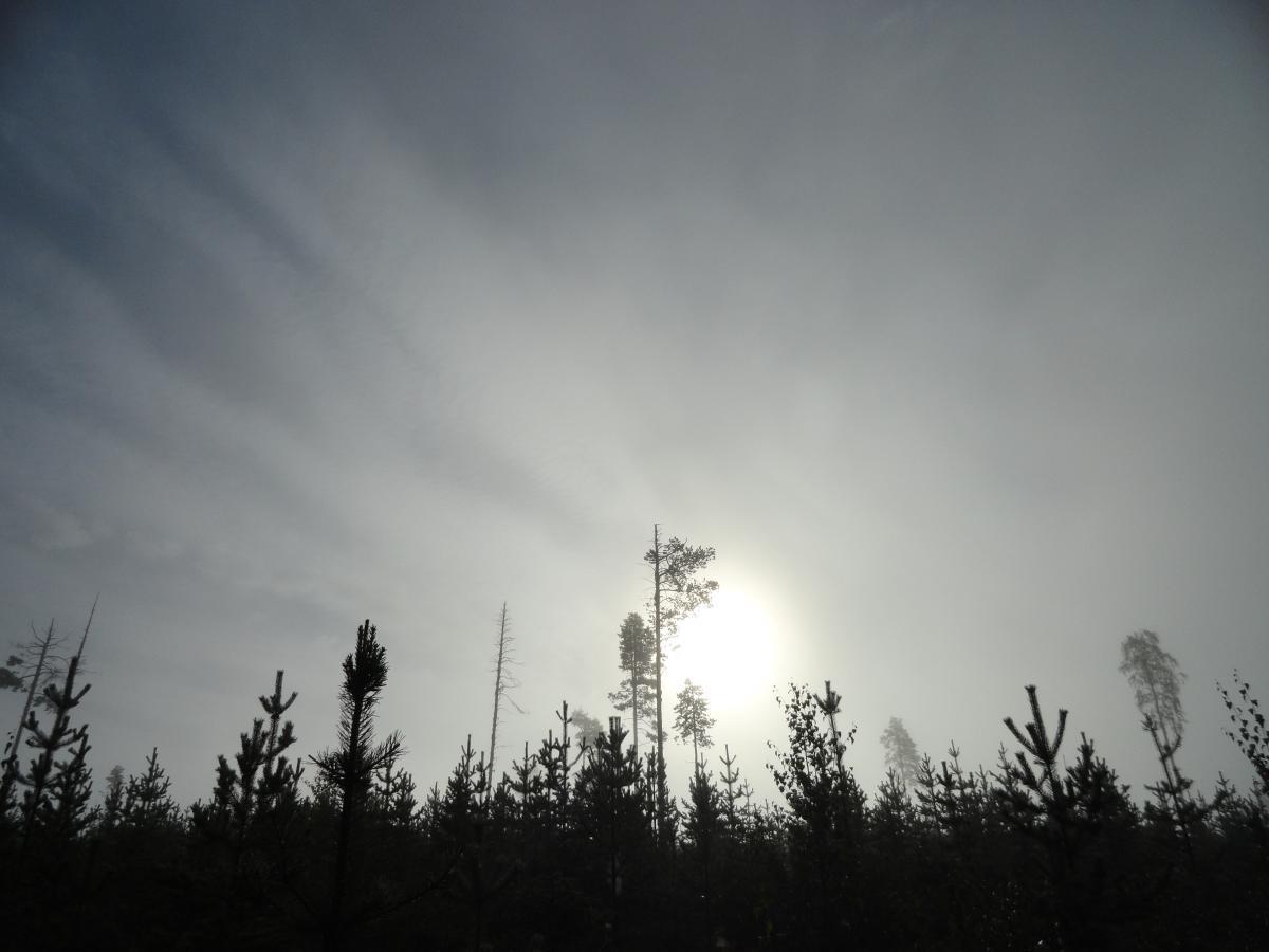 post-16372-0-61066100-1365808313_thumb.j