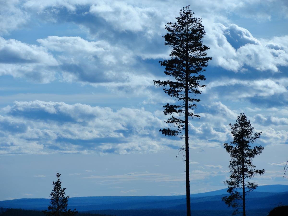 post-16372-0-63304200-1365807532_thumb.j