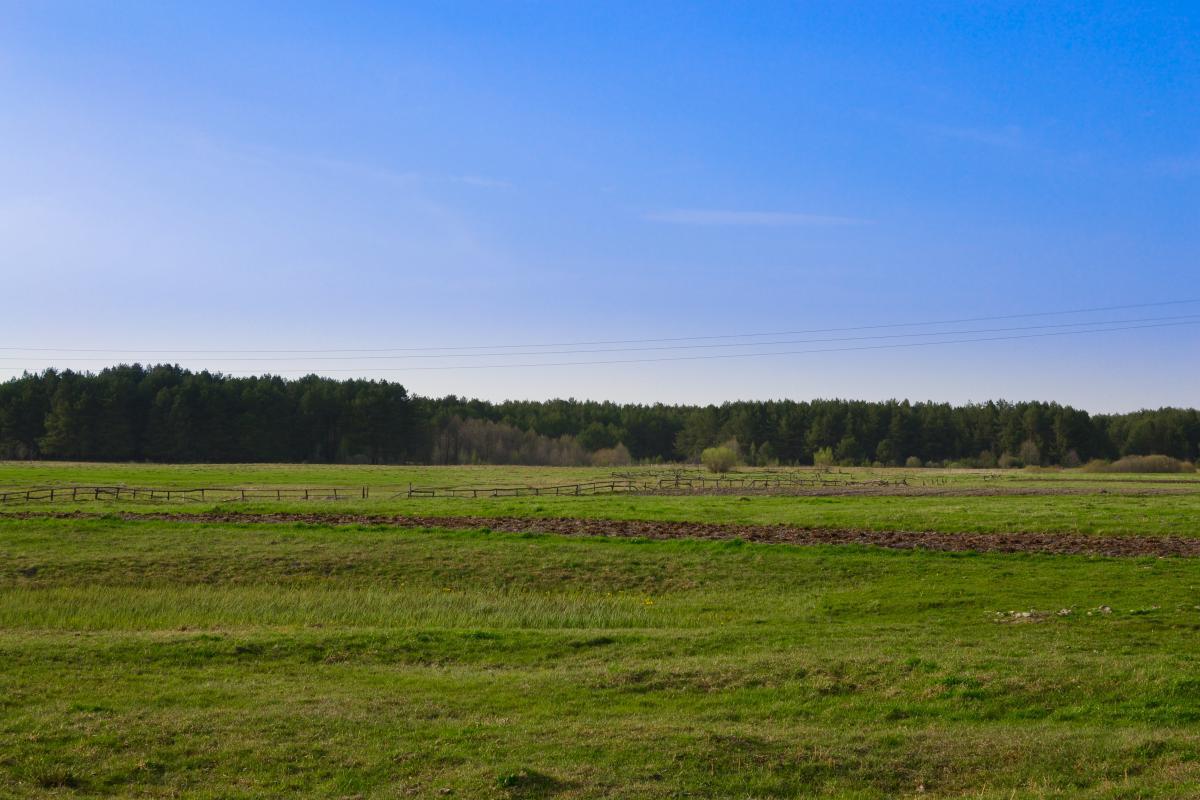 post-16372-0-64726000-1367320146_thumb.j