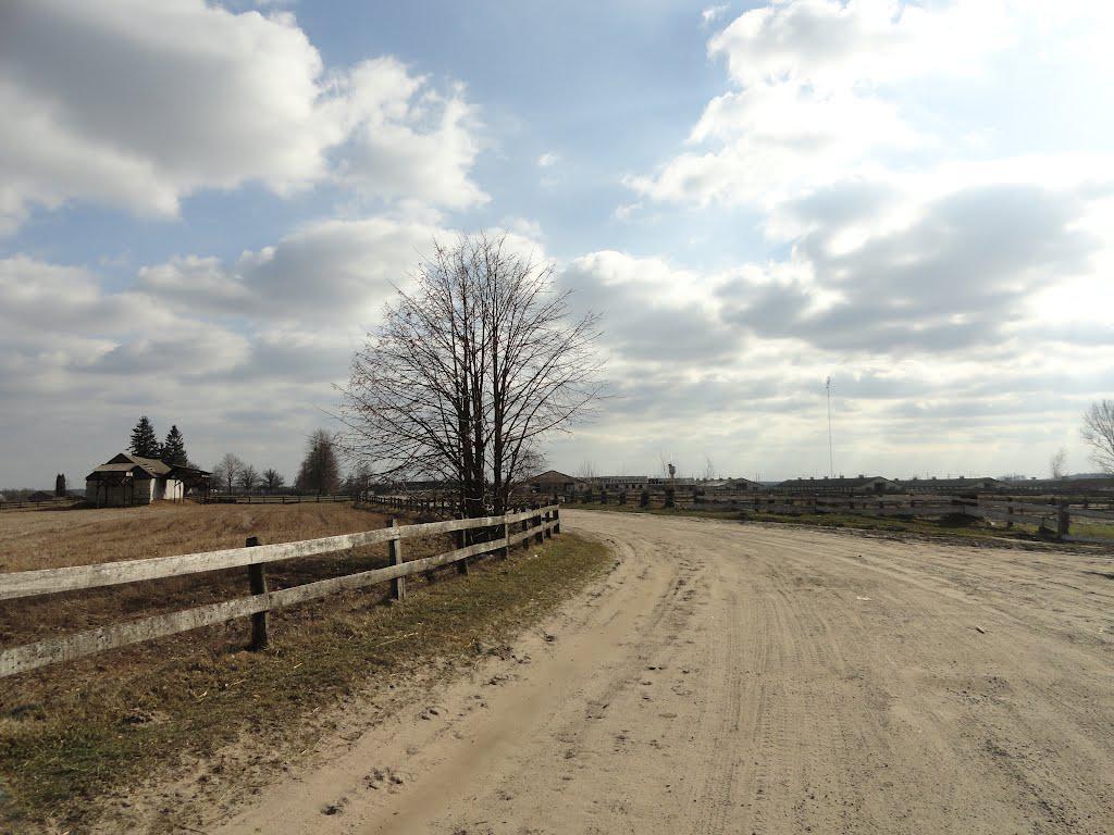 post-16372-0-64738500-1366061363_thumb.j