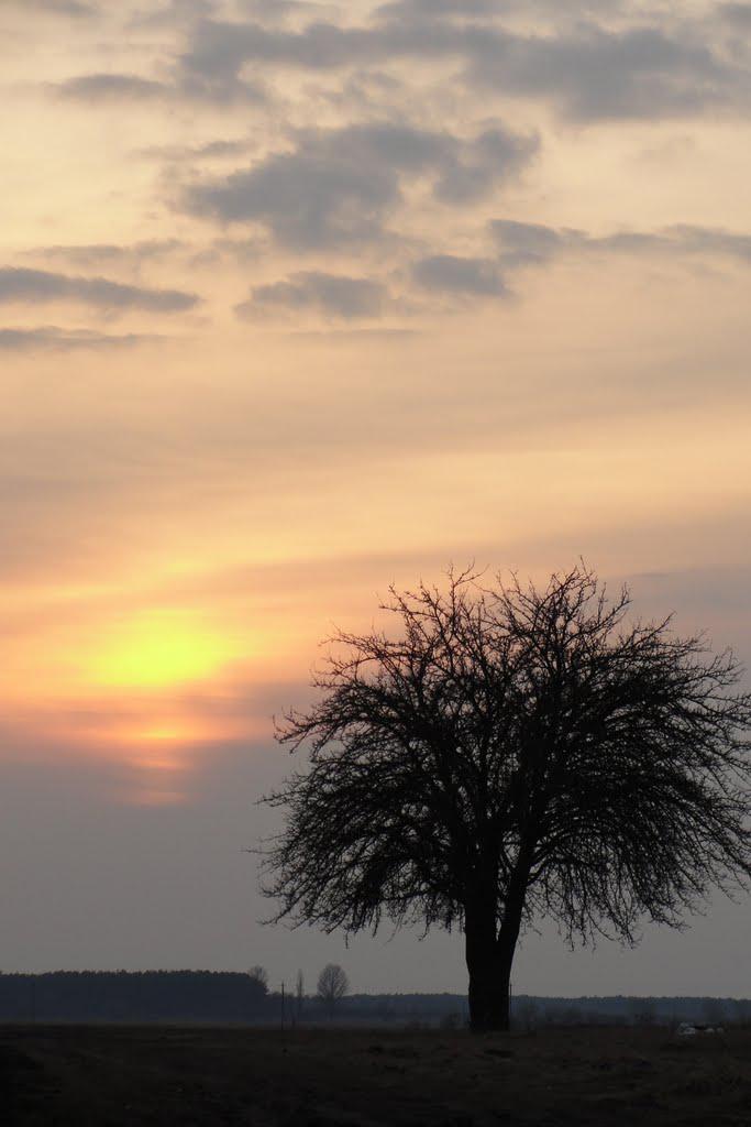 post-16372-0-66874800-1366063226_thumb.j