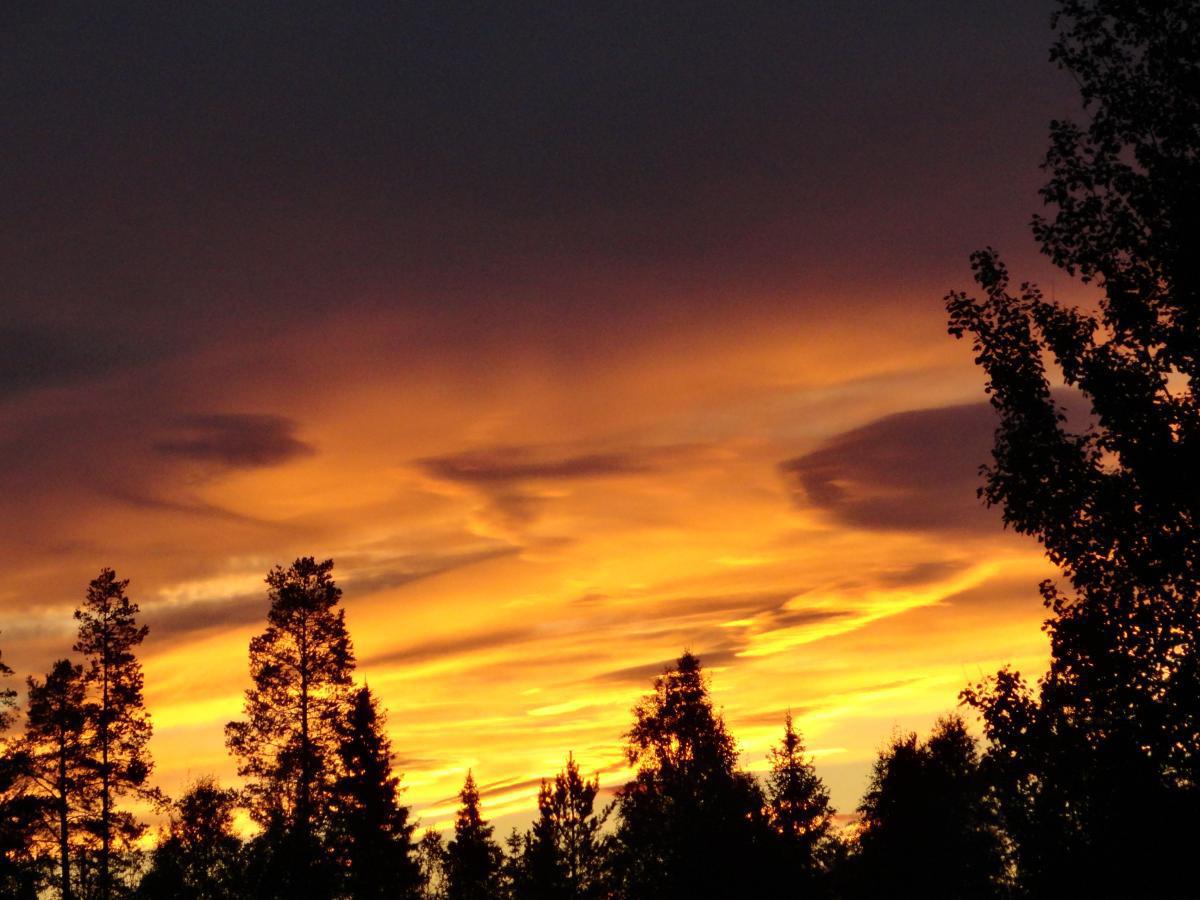 post-16372-0-67622600-1365807550_thumb.j