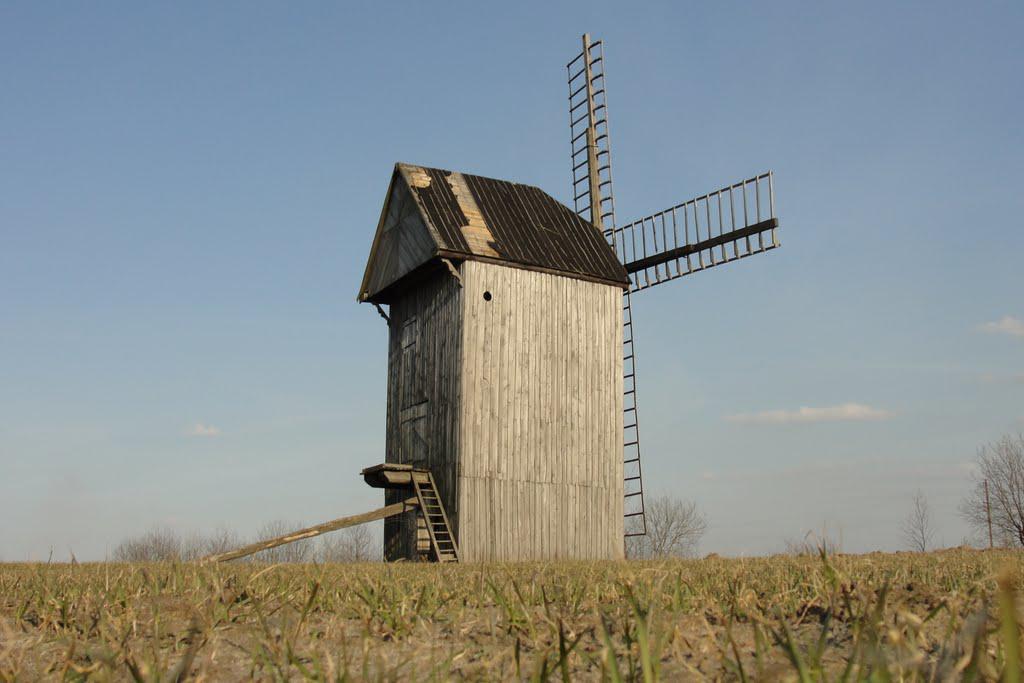 post-16372-0-68957000-1366063227_thumb.j