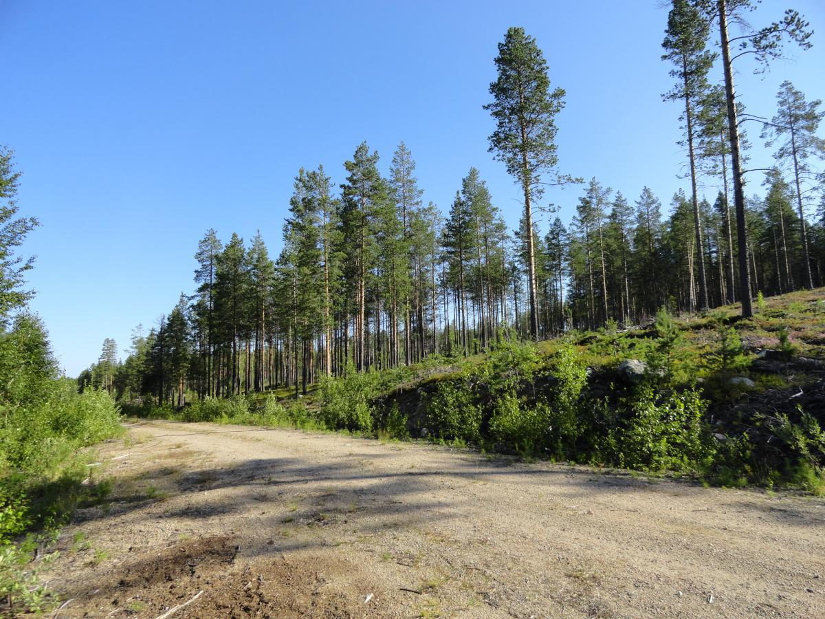 post-16372-0-69845200-1365807315_thumb.j