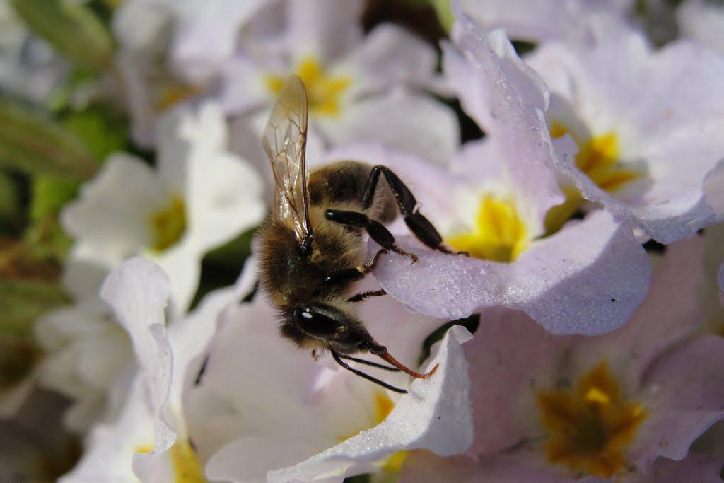 post-16372-0-70382500-1366063229_thumb.j