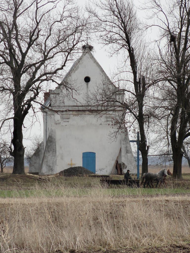 post-16372-0-71189300-1366061365_thumb.j