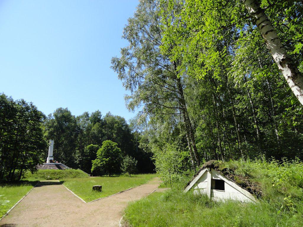 post-16372-0-71213300-1365810870_thumb.j