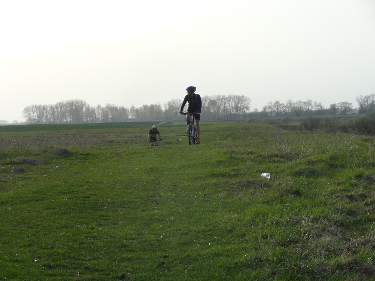 post-16372-0-72022300-1367184636_thumb.j