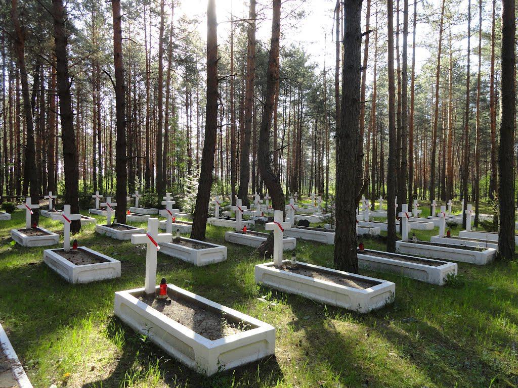 post-16372-0-72231500-1365810865_thumb.j