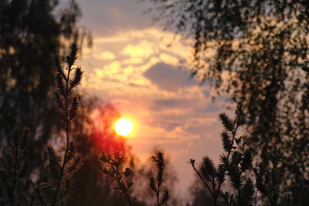 post-16372-0-73056800-1366063274_thumb.j