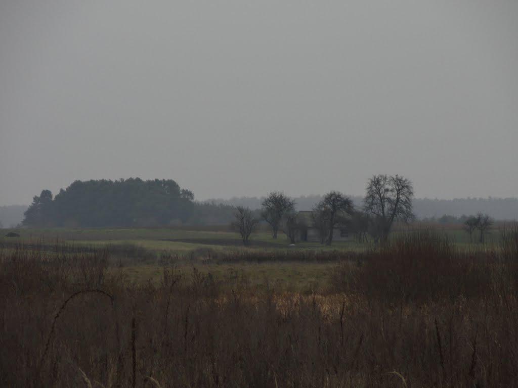 post-16372-0-73092100-1365809757_thumb.j