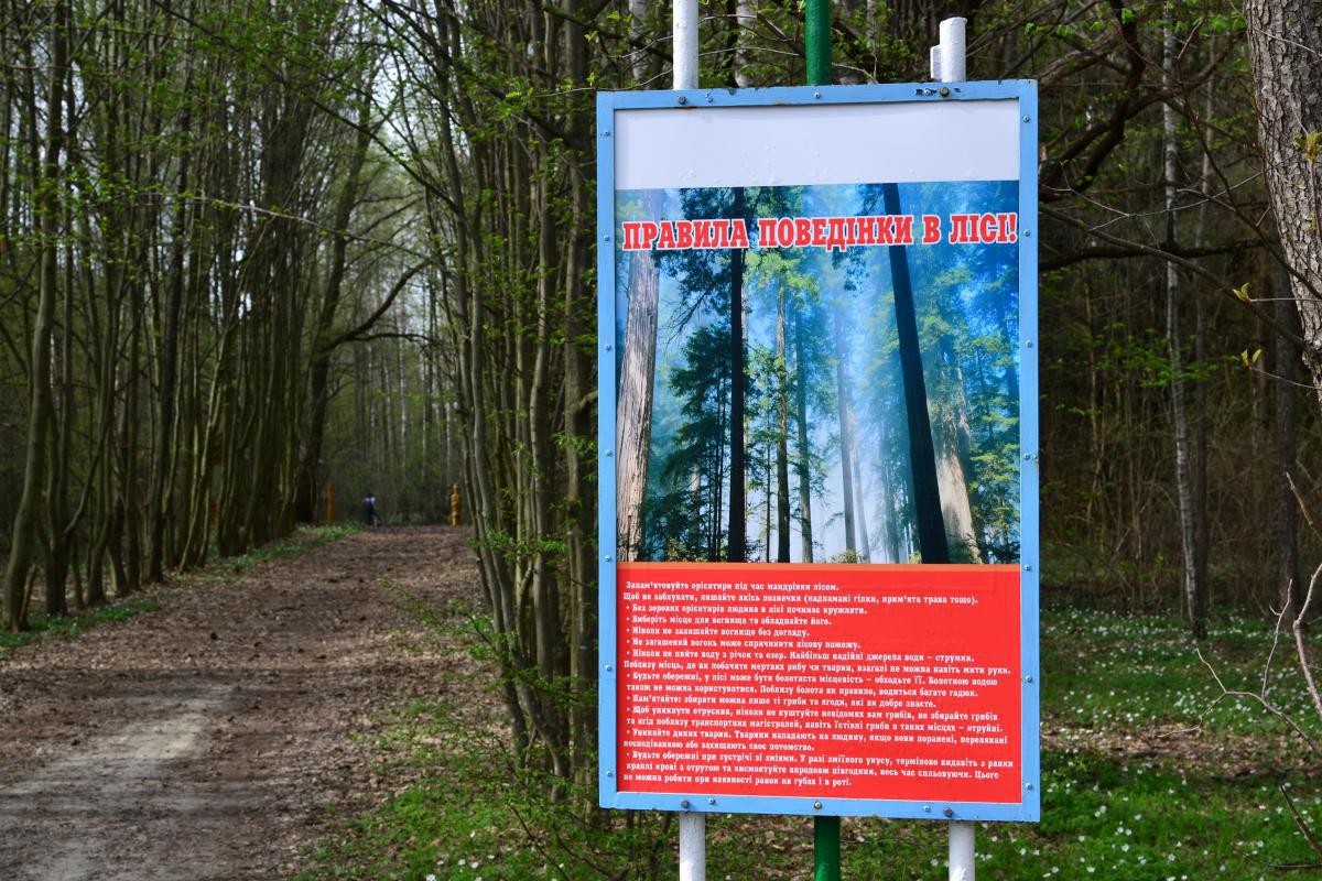 post-16372-0-74598100-1367319922_thumb.j