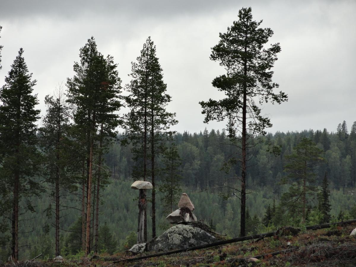 post-16372-0-75435500-1365808258_thumb.j